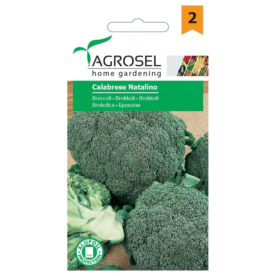 Broccoli frø Calabrese, Agrosel