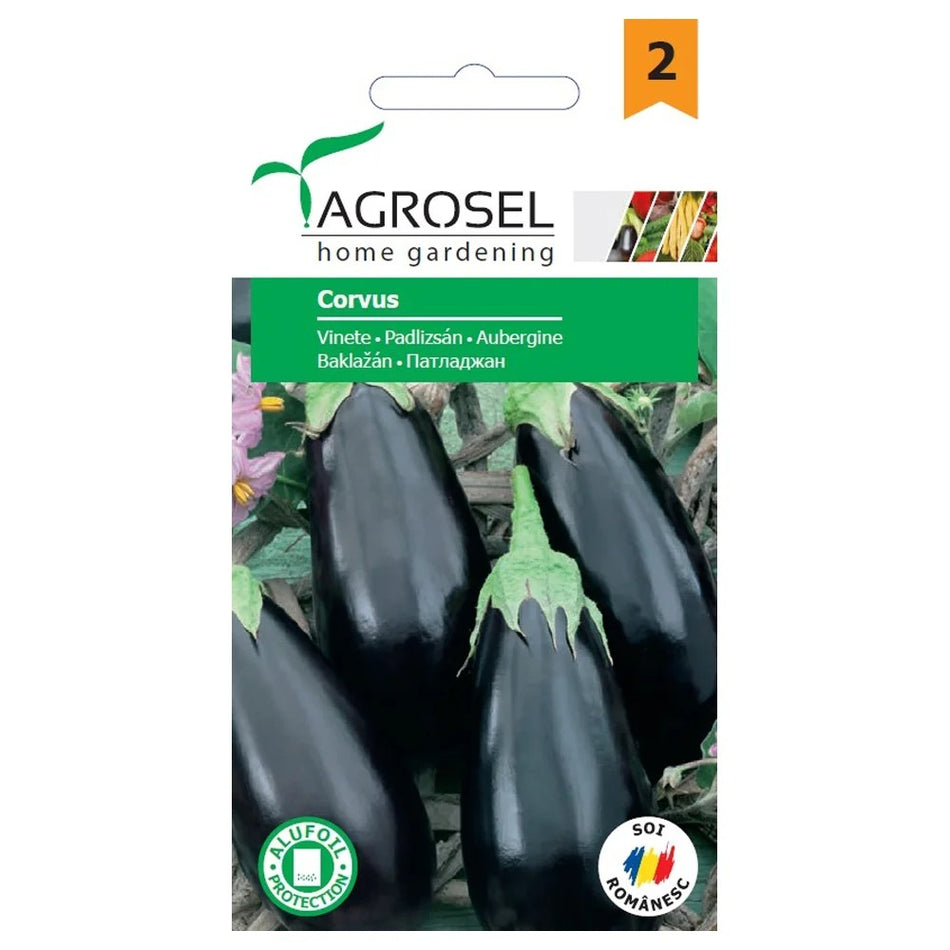 Aubergine frø Corvus, Agrosel