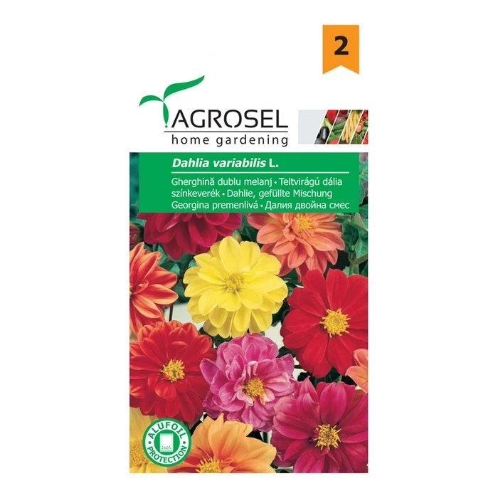 Blomsterfrø til Dobbelt Zinnia Mix, Agrosel