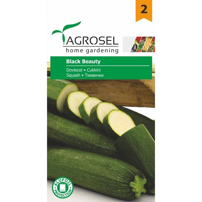 Frø til squash Black Beauty, Agrosel